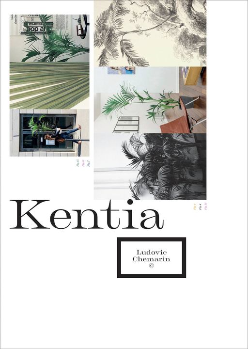 Kentia – Histoires d’un stipe